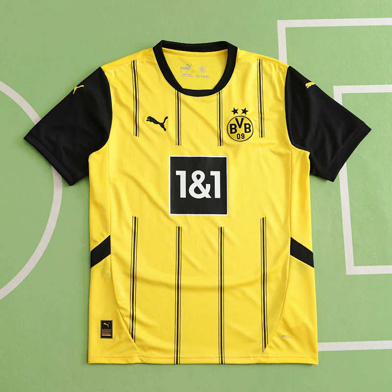 Dortmund Home Fan Version