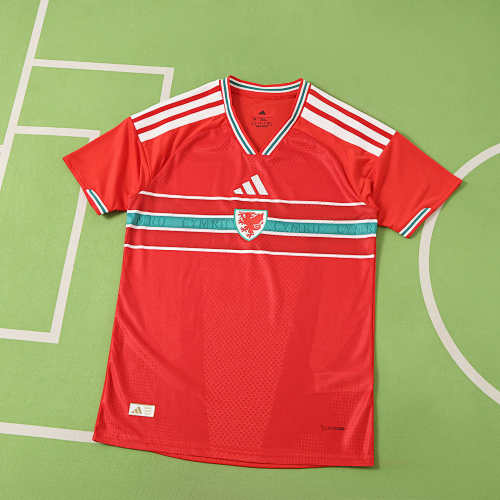 Wales Home Player Version