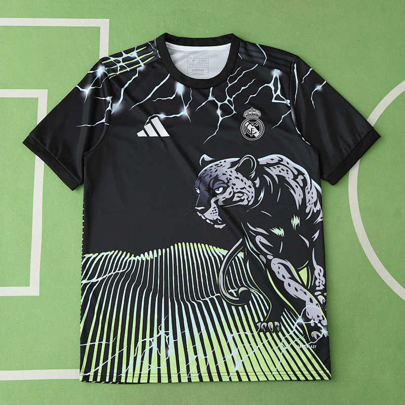 Real Madrid CF Concept Version Fan Version