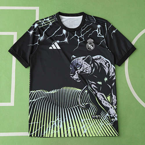 Real Madrid CF Concept Version Fan Version