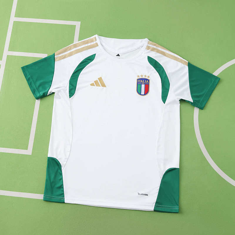 Italy Training Suit Fan Version