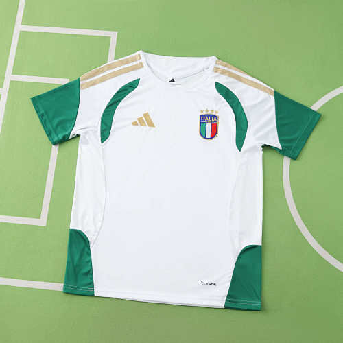 Italy Training Suit Fan Version