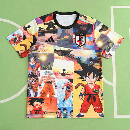 Japan Dragon Ball Fan Version