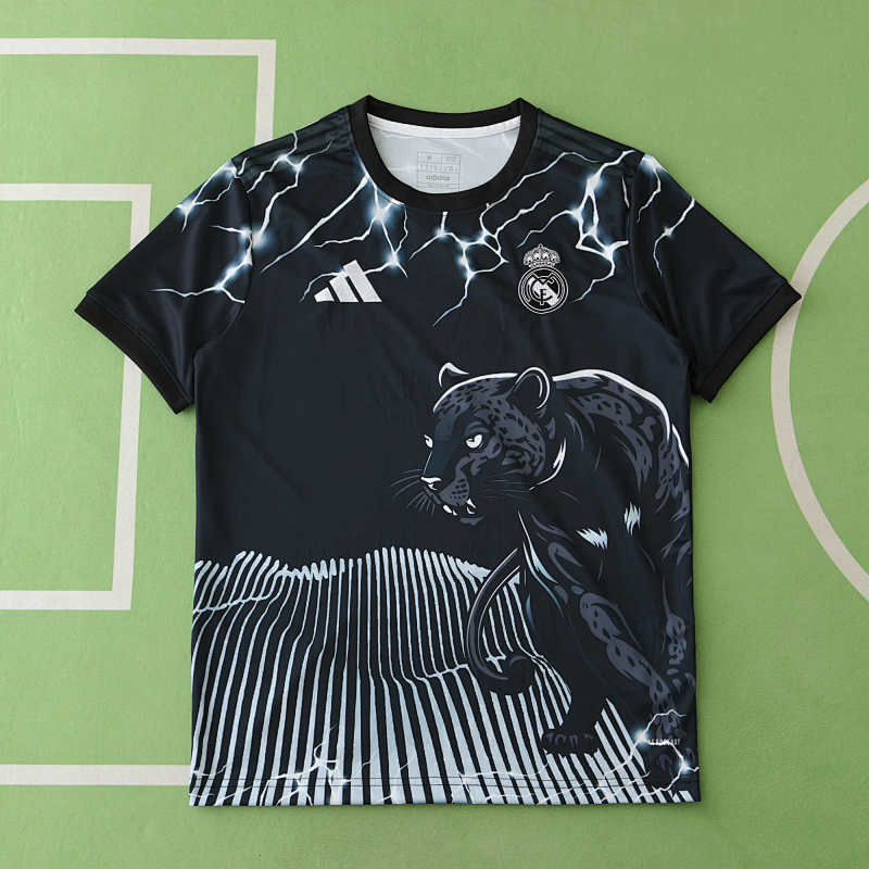 Real Madrid CF Concept Version Fan Version