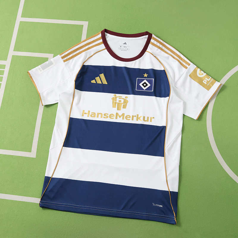 Hamburger SV Concept Version Fan Version