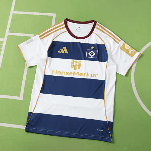 Hamburger SV Concept Version Fan Version