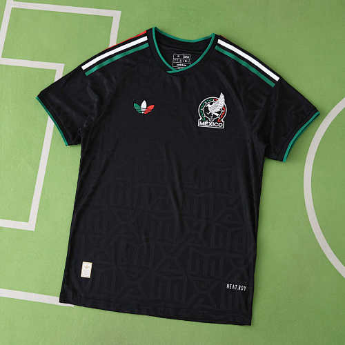 Mexico Concept Version Player Version