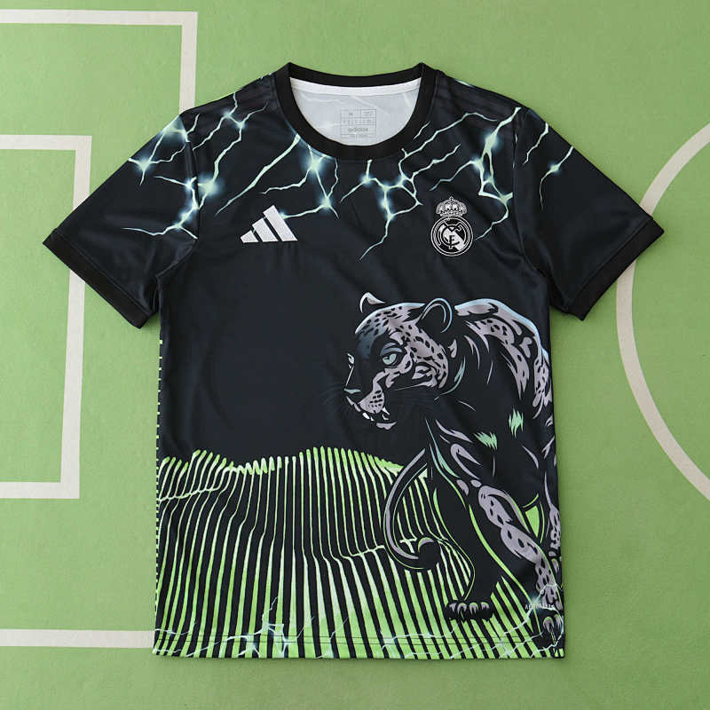 Real Madrid CF Concept Version Fan Version