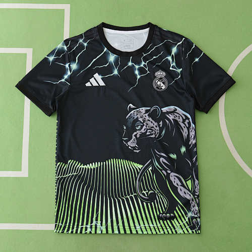 Real Madrid CF Concept Version Fan Version