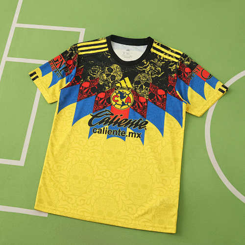 Club América Home Concept Version Fan Version