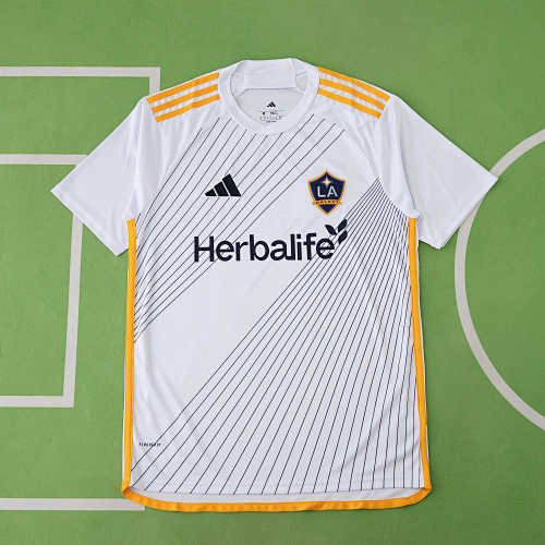 Los Angeles Galaxy Home Fan Version