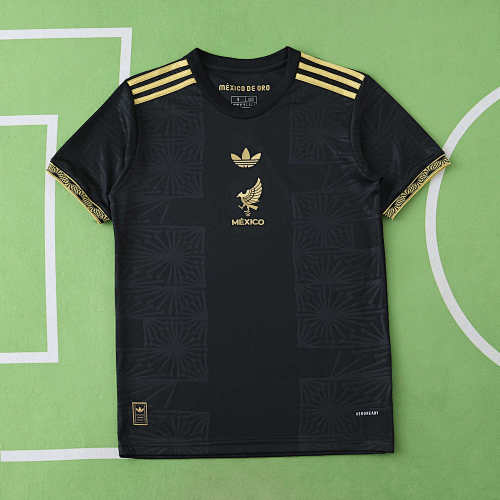 Mexico Black Gold Cup Fan Version