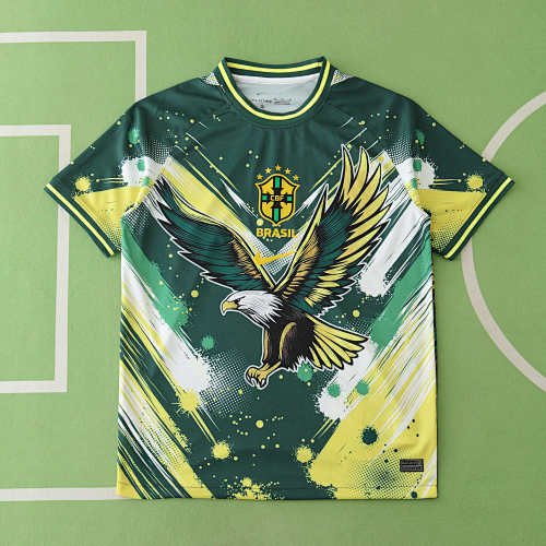 Brazil Concept Version Fan Version