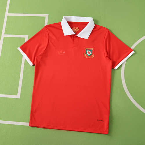 Anniversary Wales Fan Version