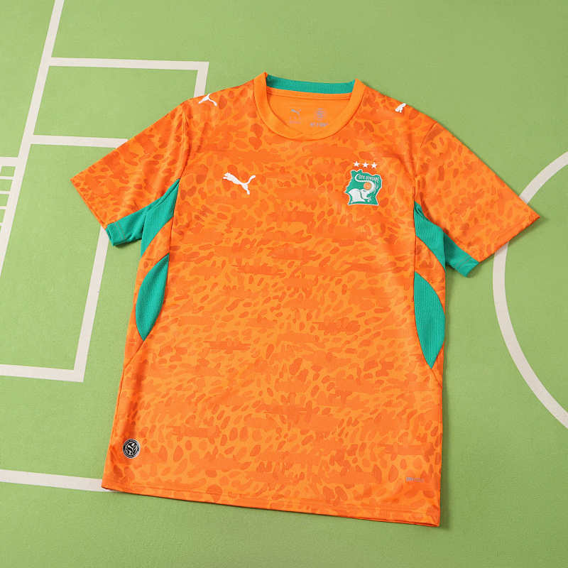 Fifa World Cup Côte D'Ivoire Home Fan Version
