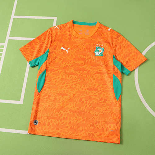 Fifa World Cup Côte D'Ivoire Home Fan Version