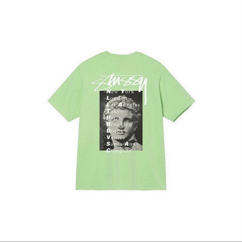 Stussy Statue Pig Dyed Tee T S M L XL