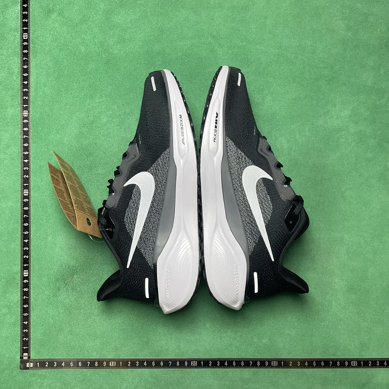 TD Batch Nike Pegasus 41 ZL 0.9