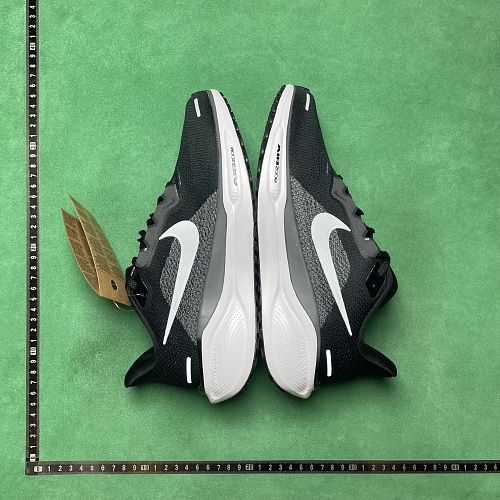 TD Batch Nike Pegasus 41 ZL 0.9