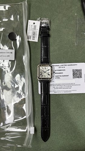 Cartier F1 Dumont