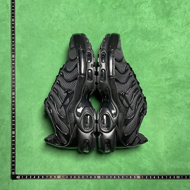 PB Batch Nike Air Max Plus Wmns ZL 1.3