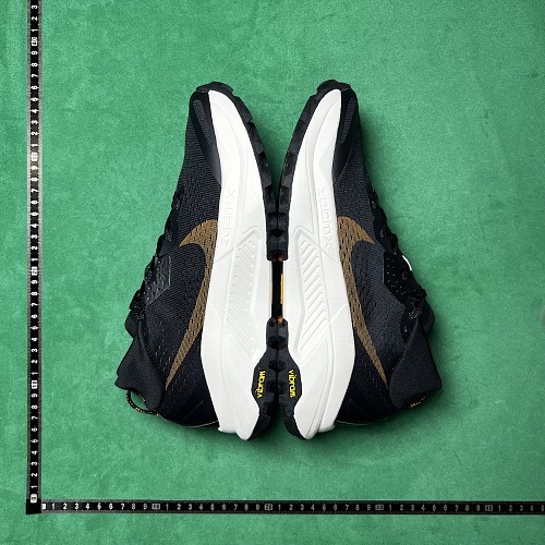BD Batch Nike Pegasus Trail 5 Gore-Tex ZL 1.0