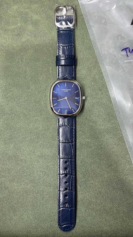 Patek Philippe Twf PP