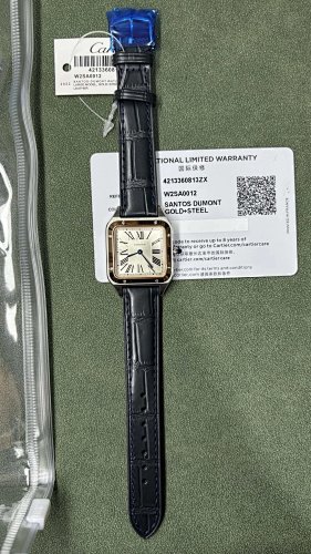 Cartier F1 Dumont
