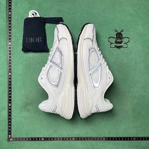 DC Batch Dior ZL 2.2