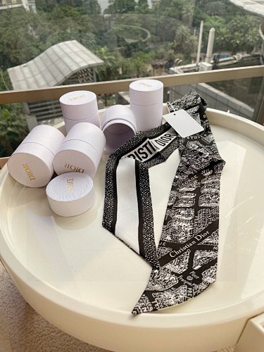 Dior Scarves