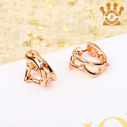 Dior Stud Earring