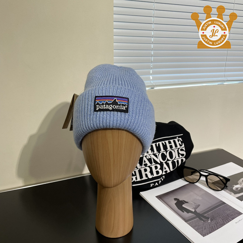 Patagonia Cap