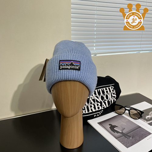 Patagonia Cap