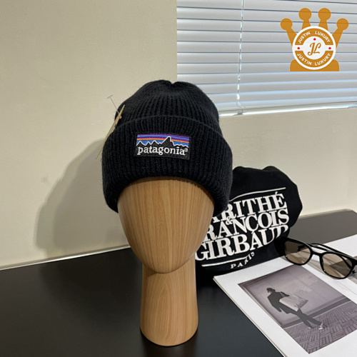 Patagonia Cap