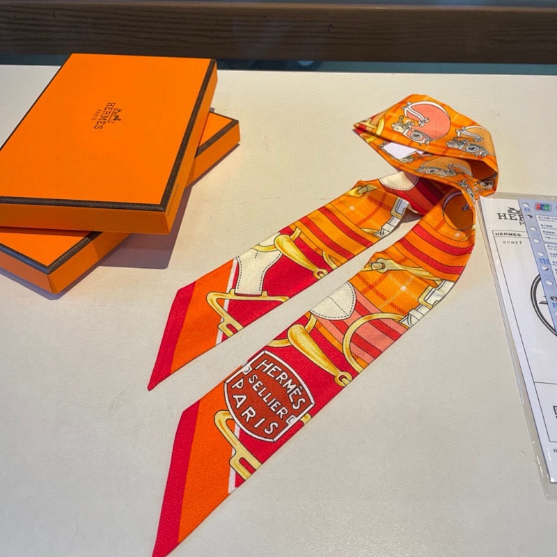 Hermès Hermes Scarves