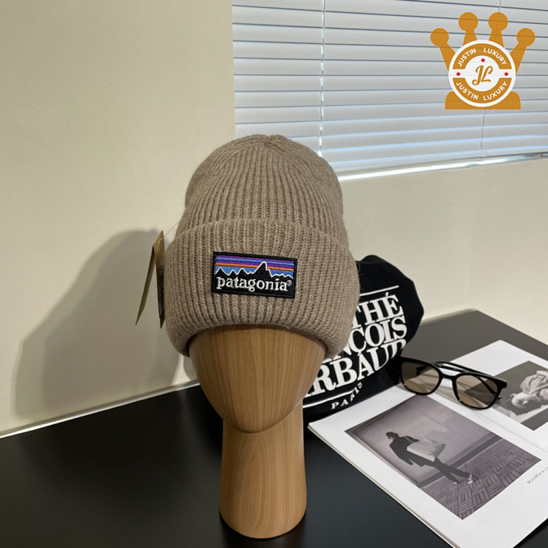 Patagonia Cap