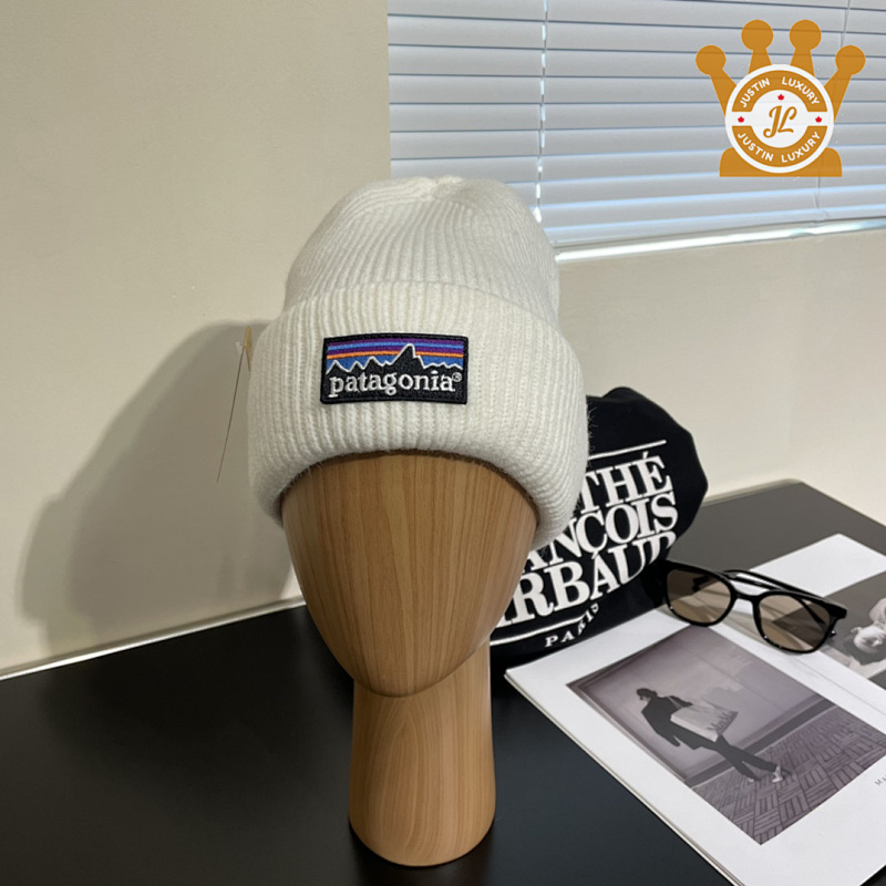 Patagonia Cap