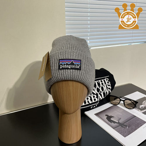 Patagonia Cap