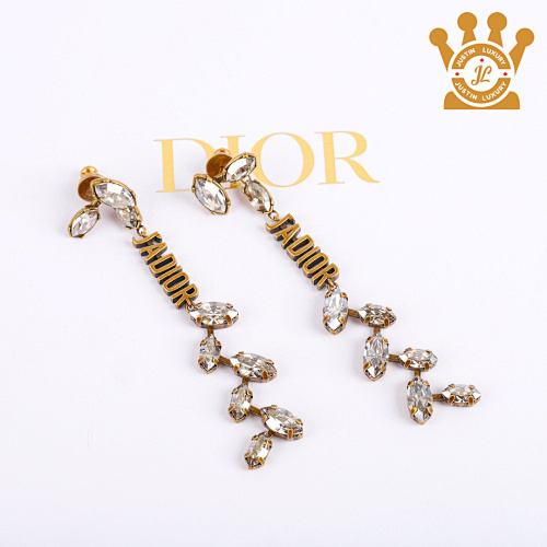 Dior Earrings