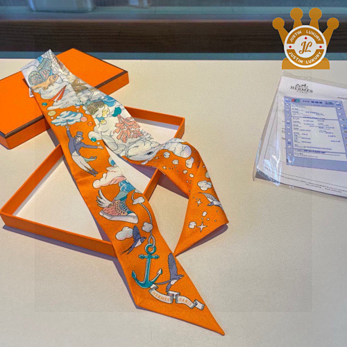 Hermès Hermes Scarves
