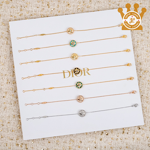 Dior Bracelet VFGGF145Q
