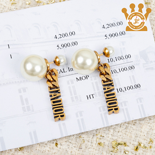 Dior Earrings FGGF135Q