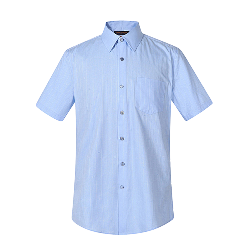 Pinstripe Jacquard Peak Collar Button Short Sleeves