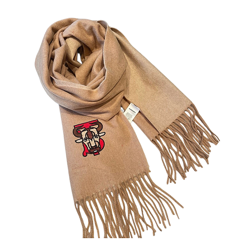Burberry scarf