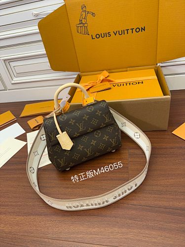 Louis Vuitton bag