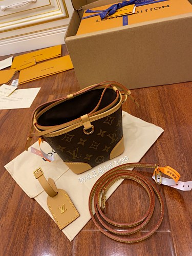 Louis Vuitton bag