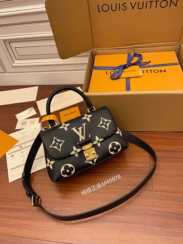 Louis Vuitton bag