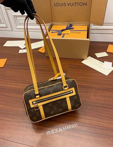 Louis Vuitton bag