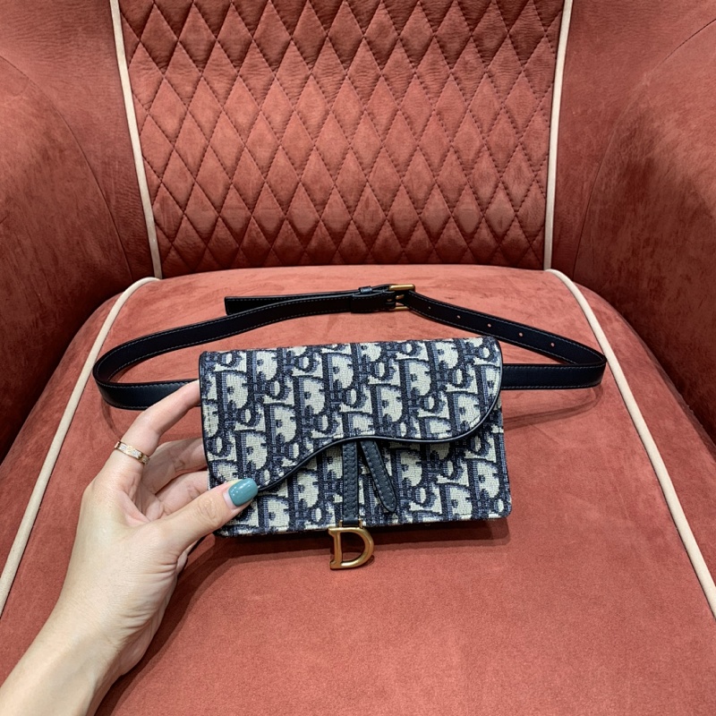 Louis Vuitton belt bag