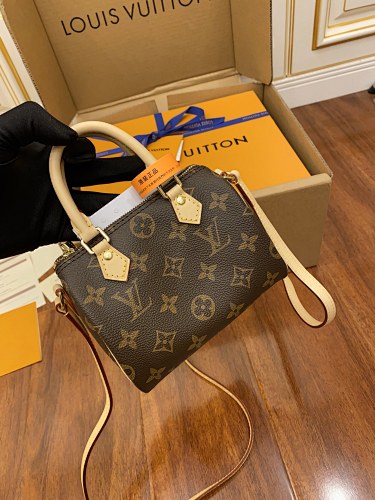 Louis Vuitton bag